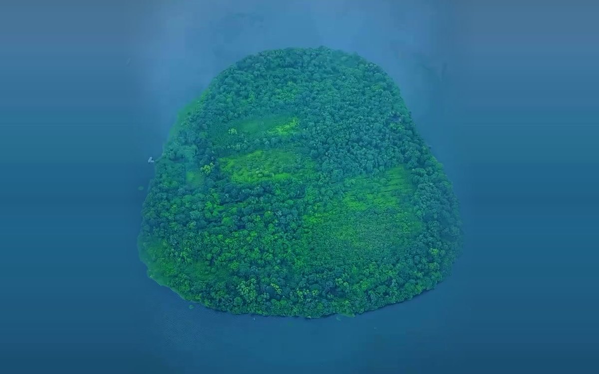 Aerial view of Pathiramanal island, green and round, in the blue lake