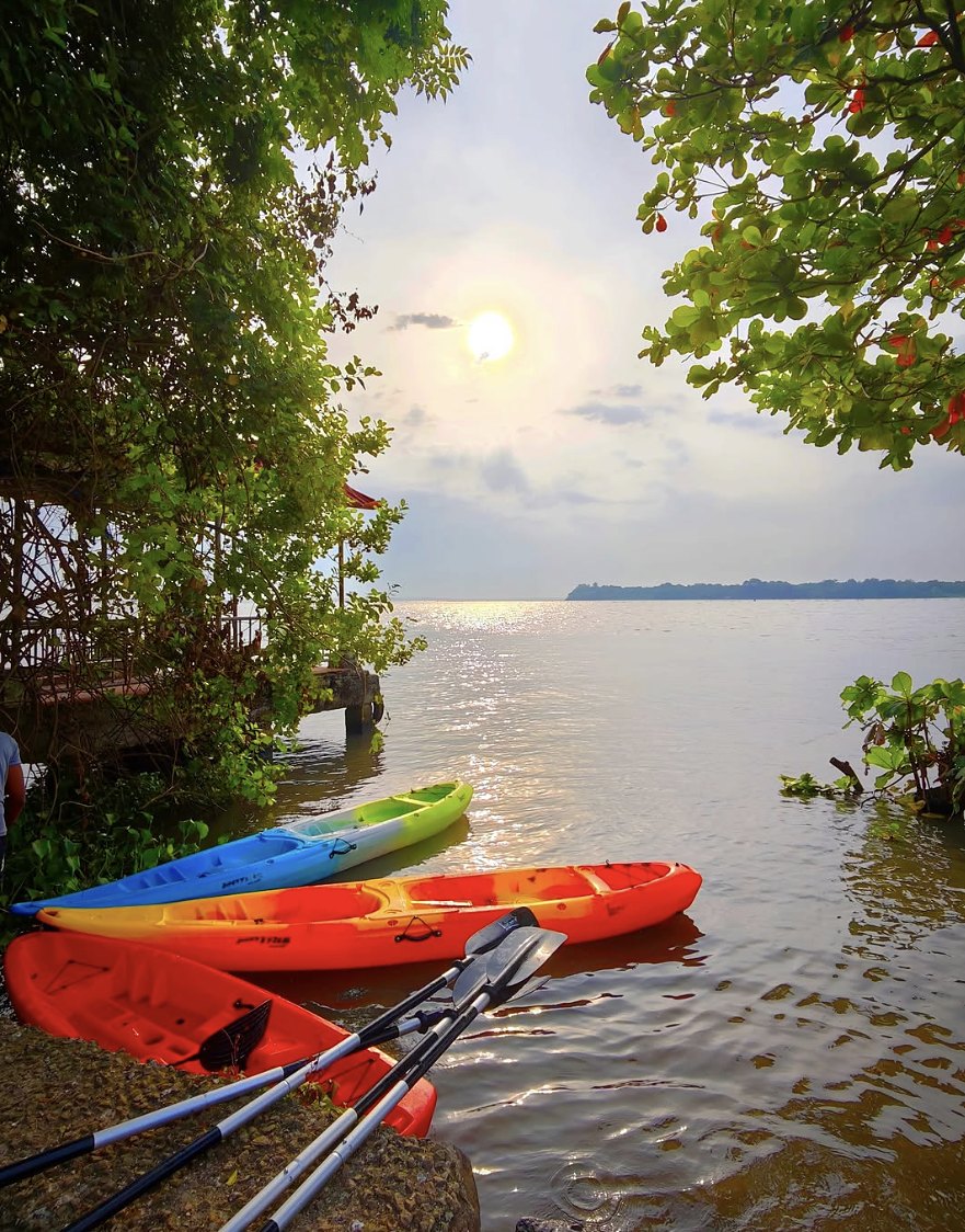Colourful kayaks at the water’s edge