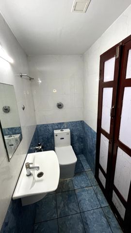A bathroom with a wash basin, toilet and blue floor tiles