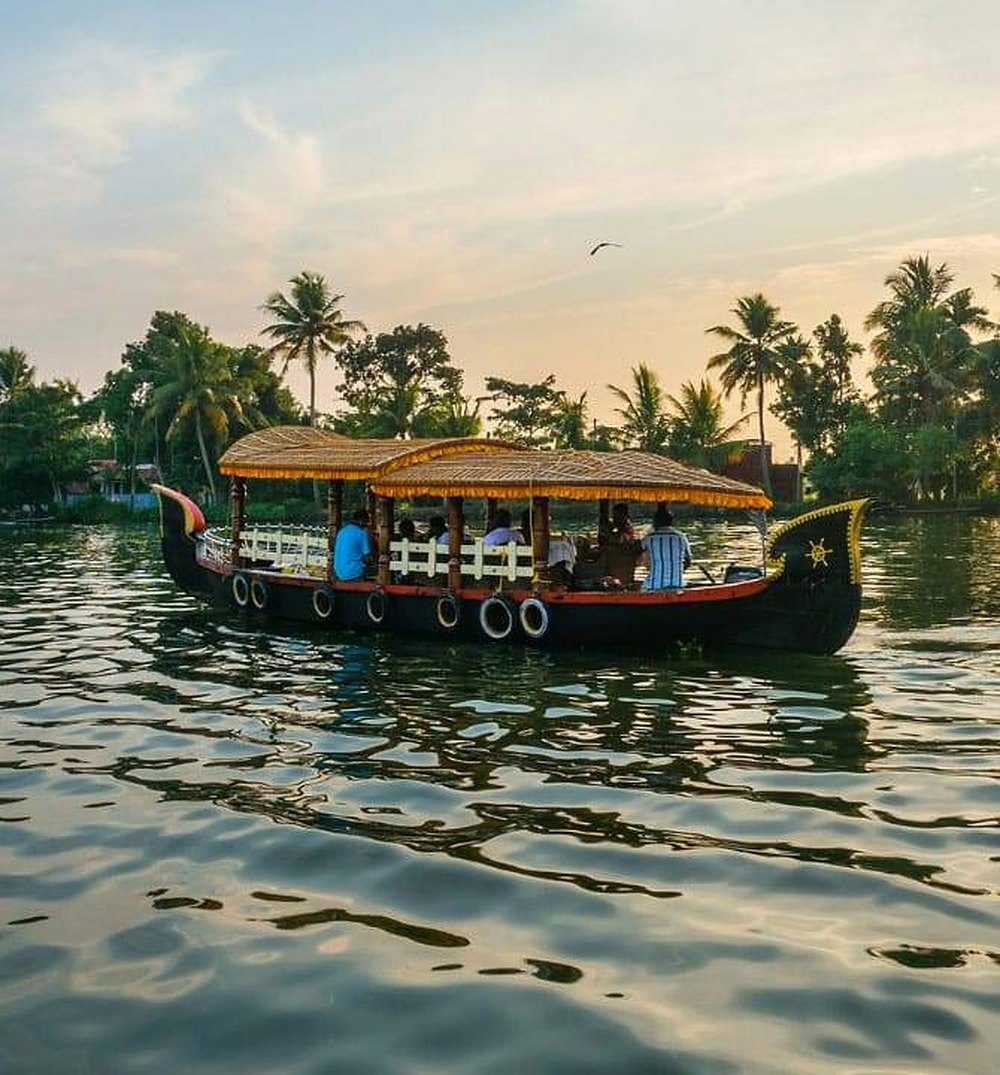 A shikara with a thatched canopy cruising on the lake at sunset, with coconut palms behind